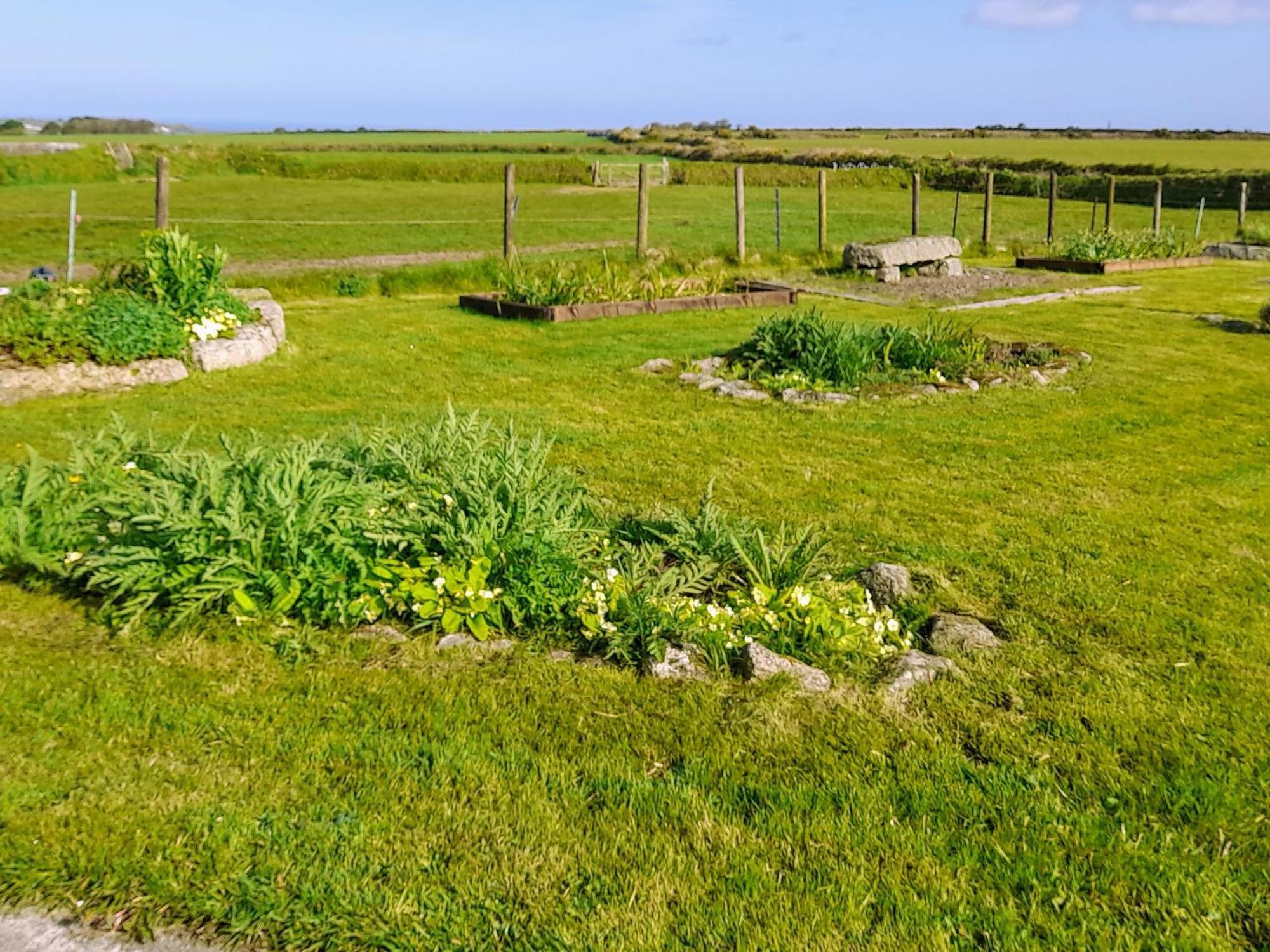 Ash Tree Cottage Carnbrea Exterior photo